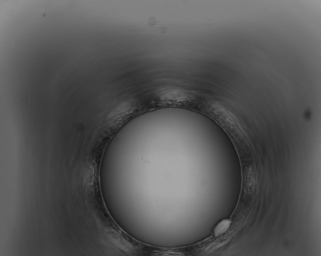 X0000097980463200804011749