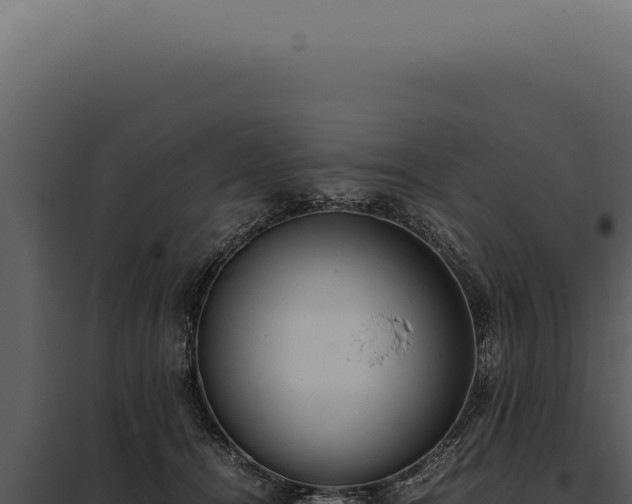 X0000097980464200804011749