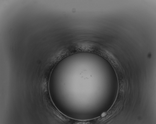 X0000097980465200804011749