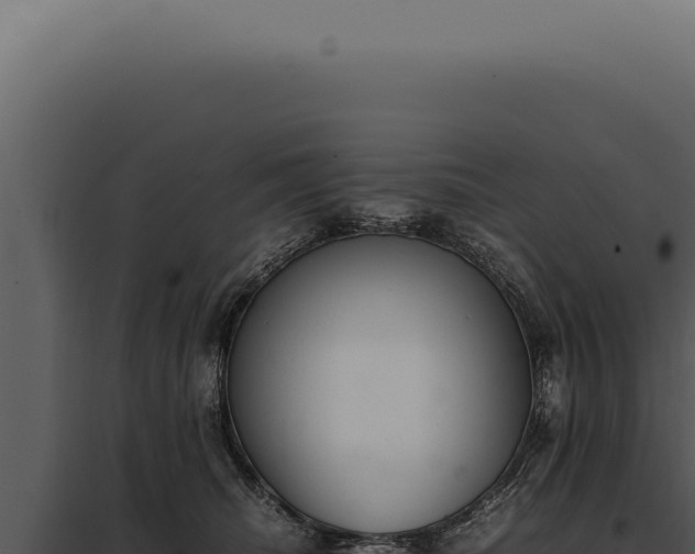 X0000097980468200804011749