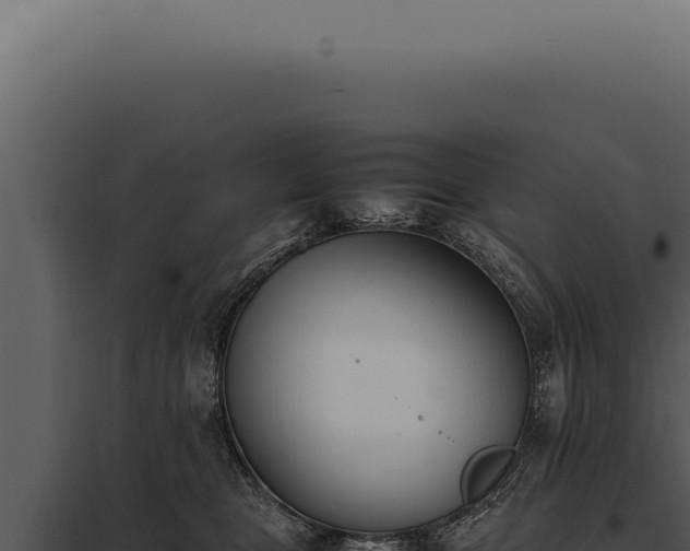 X0000097980469200804011749