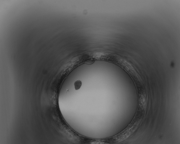 X0000097980470200804011749