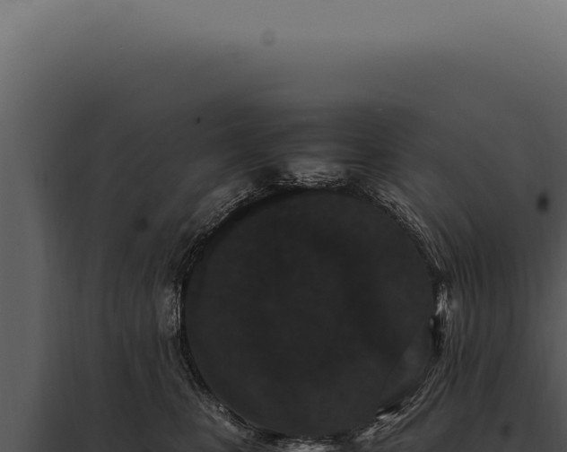 X0000097980471200804011749