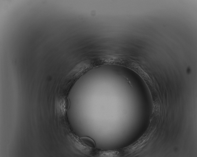 X0000097980479200804011749