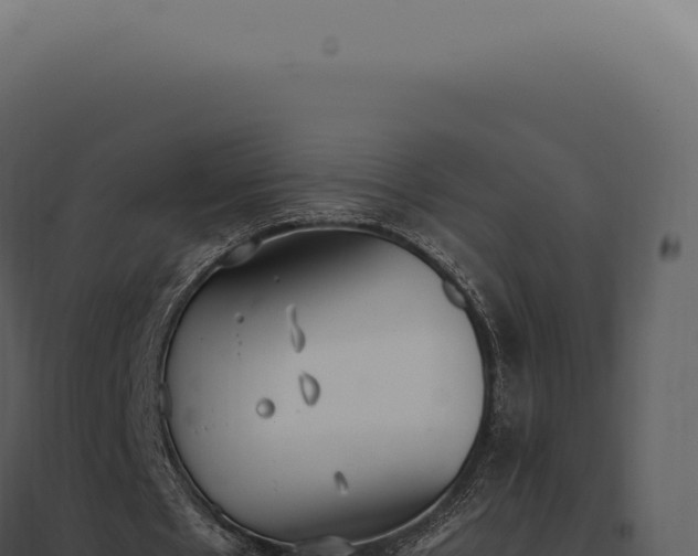 X0000097980481200804011748