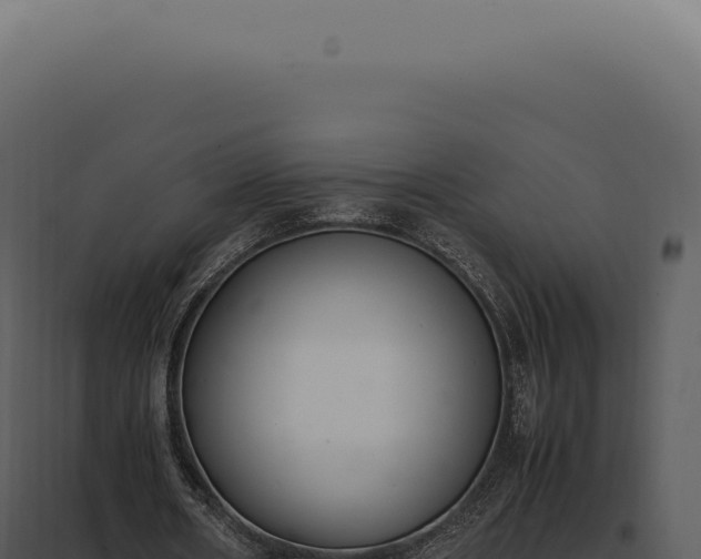 X0000097980482200804011748