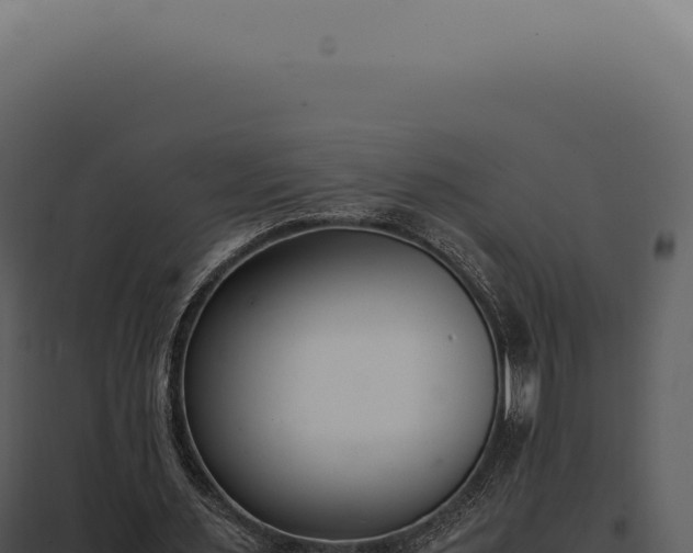 X0000097980483200804011748