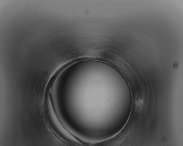 X0000097980484200804011748