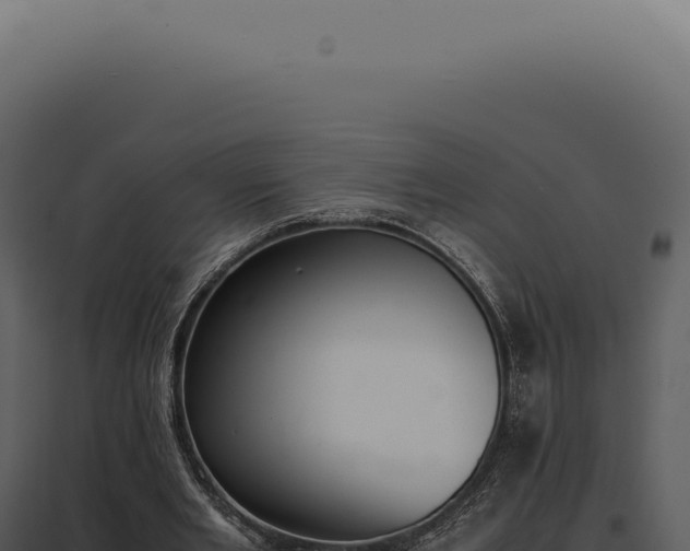 X0000097980485200804011748