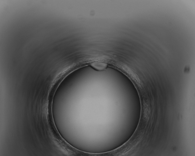 X0000097980486200804011748