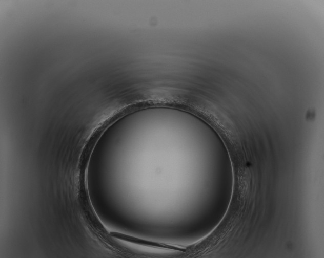 X0000097980488200804011748