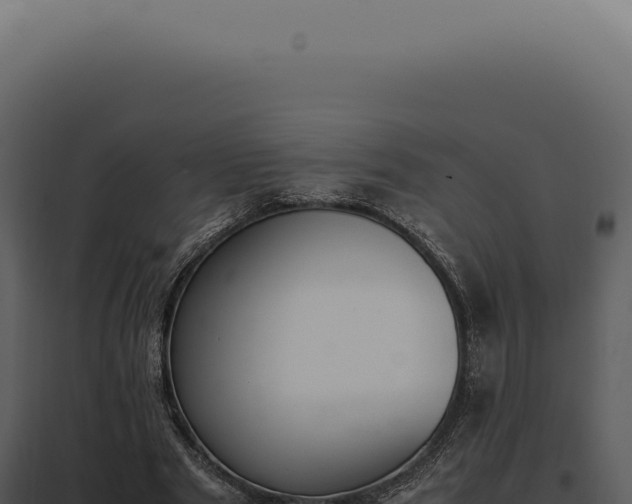 X0000097980489200804011748