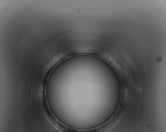 X0000097980490200804011748