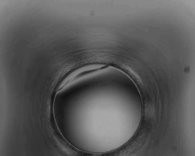 X0000097980493200804011748