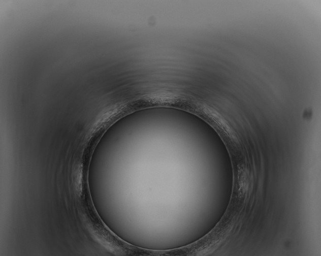 X0000097980494200804011748