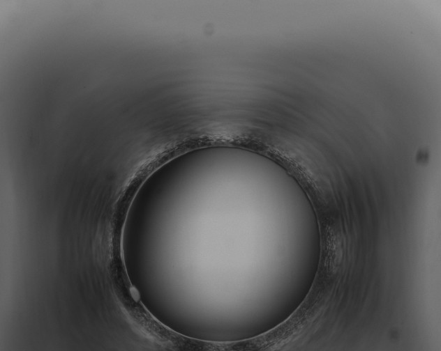 X0000097980496200804011748