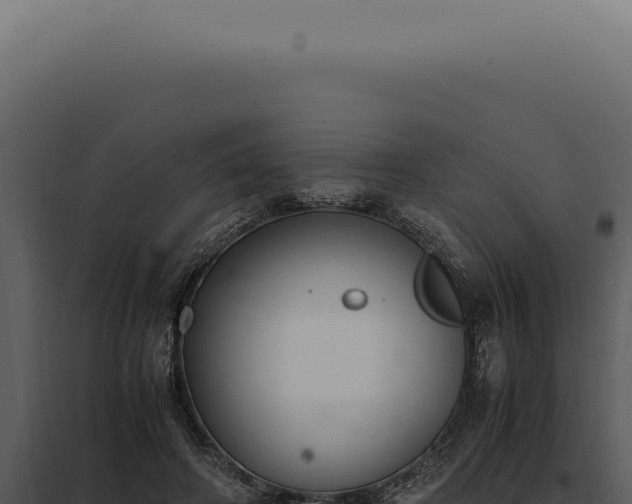 X0000097980498200804011748