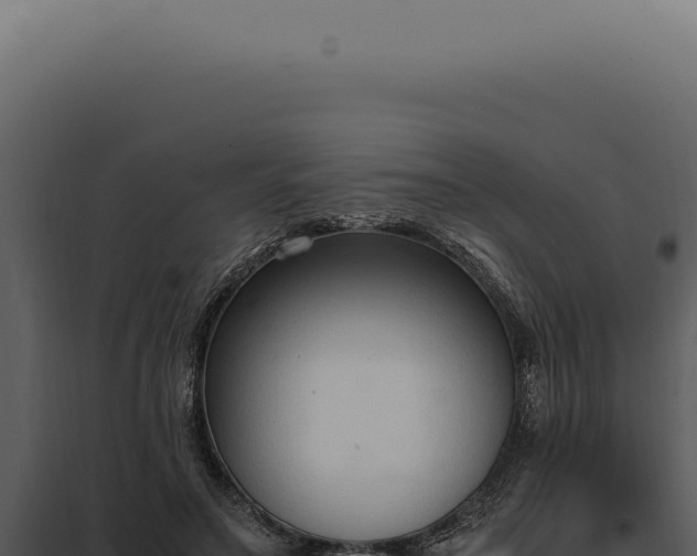 X0000097980499200804011748