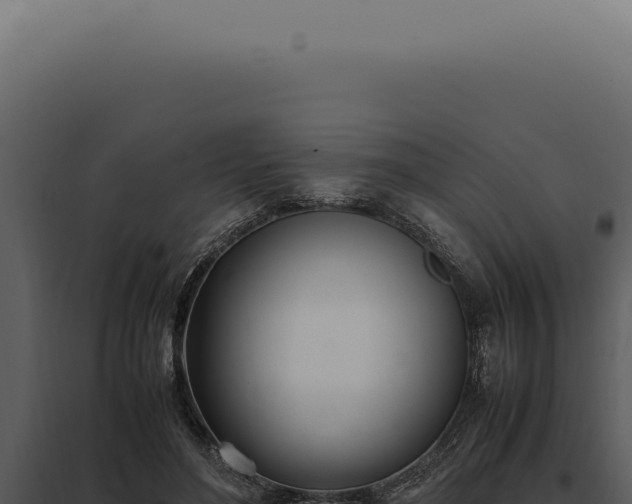 X0000097980500200804011748