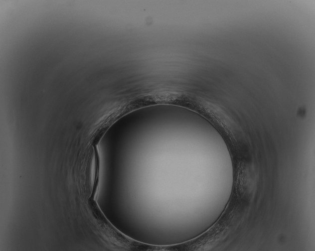 X0000097980501200804011748