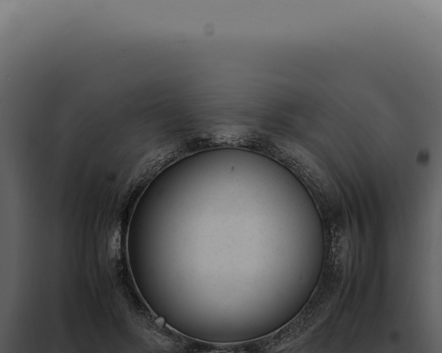 X0000097980502200804011748