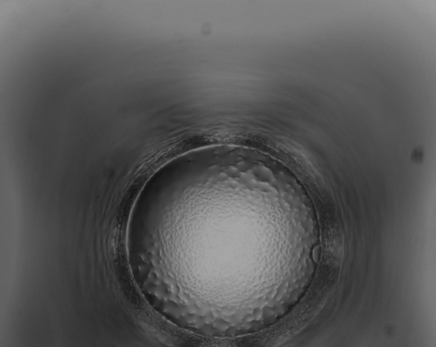 X0000097980503200804011748