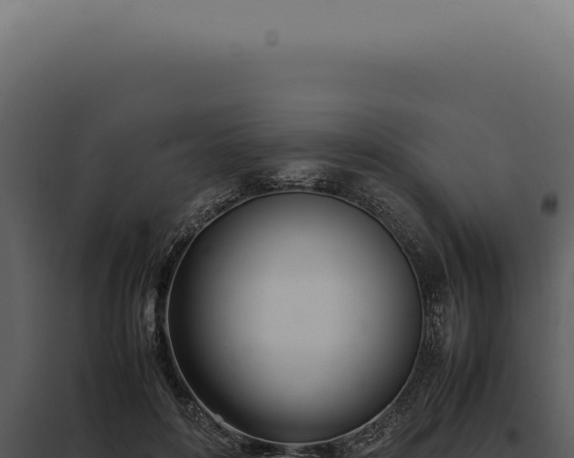 X0000097980504200804011748