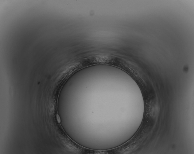 X0000097980505200804011748