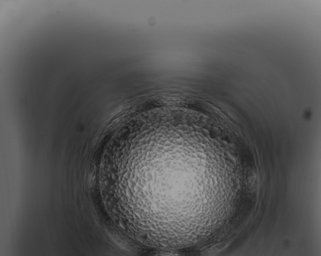 X0000097980507200804011748
