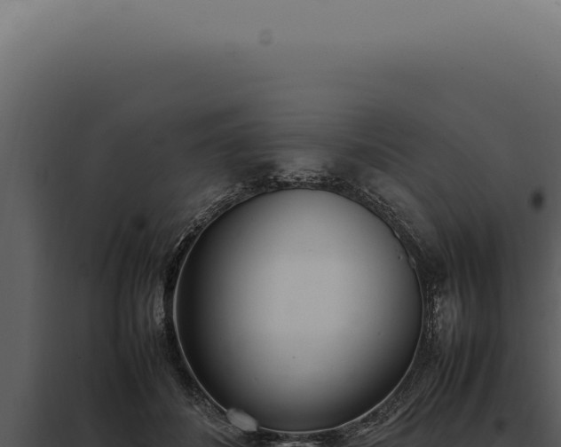 X0000097980508200804011748