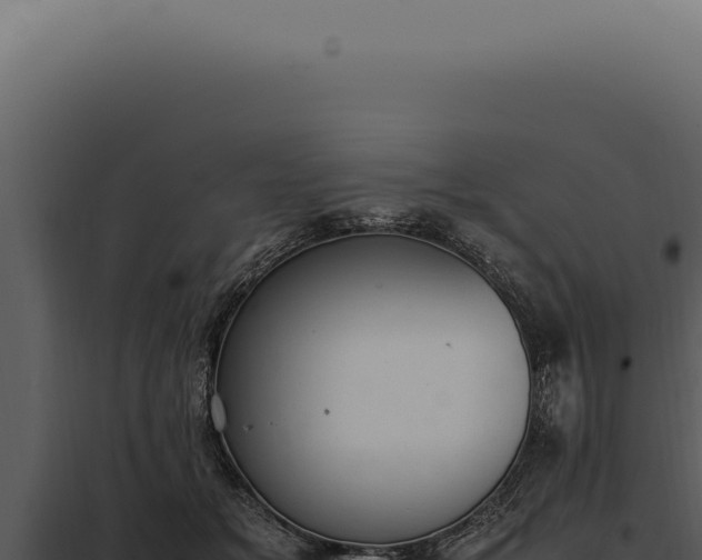 X0000097980509200804011748