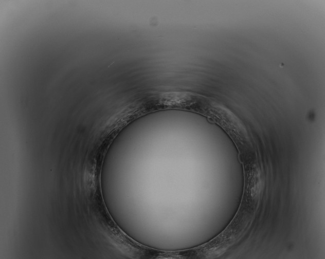 X0000097980510200804011748