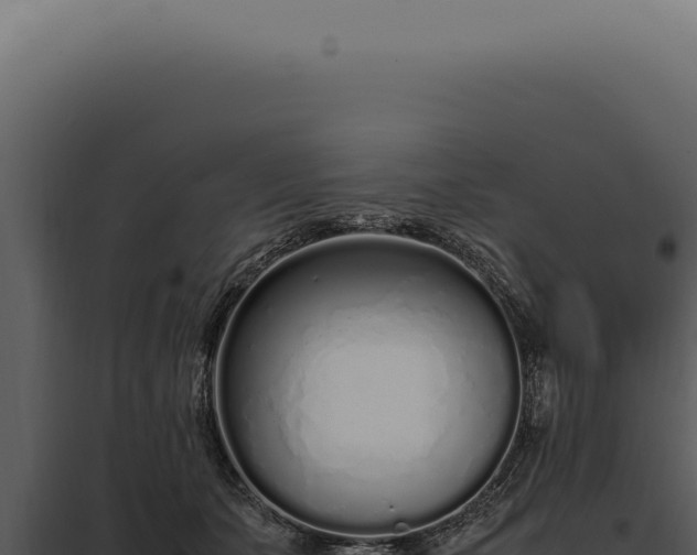 X0000097980511200804011747