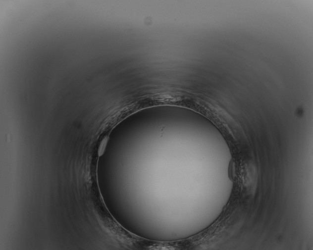 X0000097980512200804011747