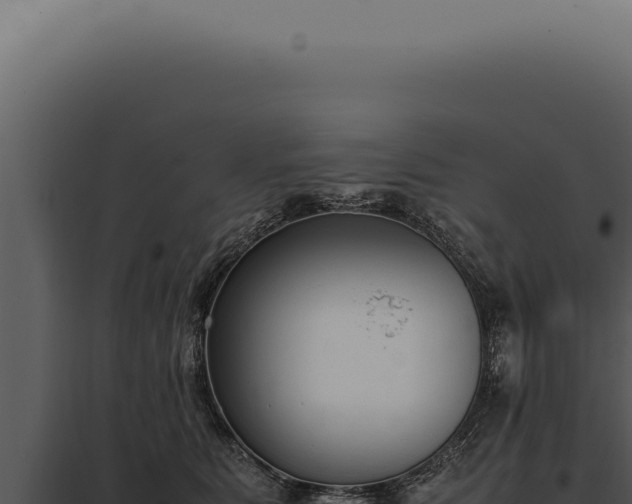 X0000097980515200804011747