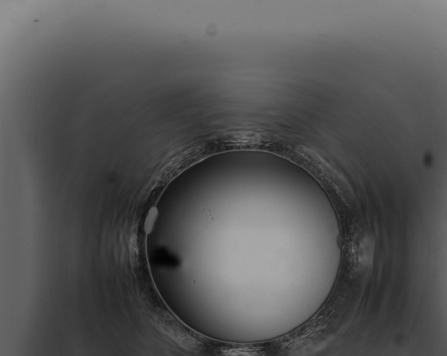 X0000097980516200804011747