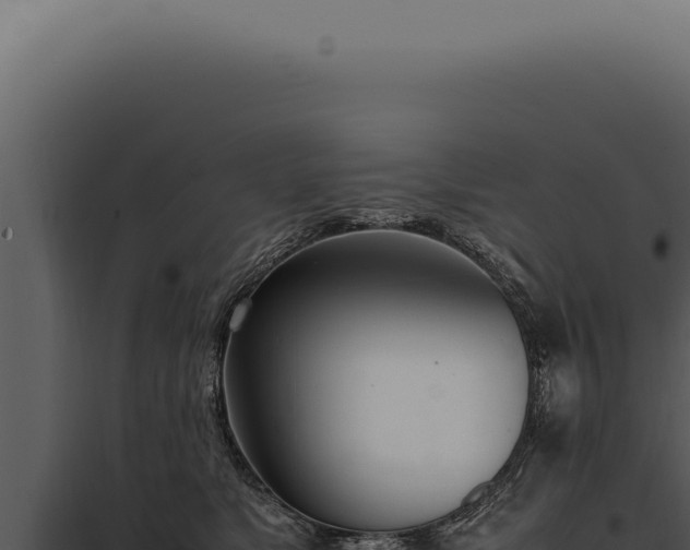 X0000097980517200804011747