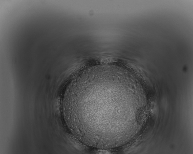 X0000097980519200804011747