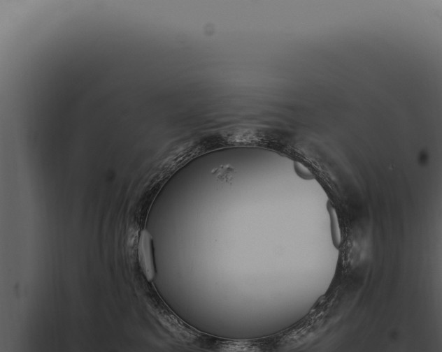 X0000097980521200804011747