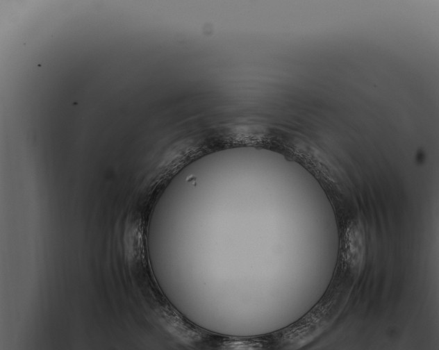 X0000097980522200804011747