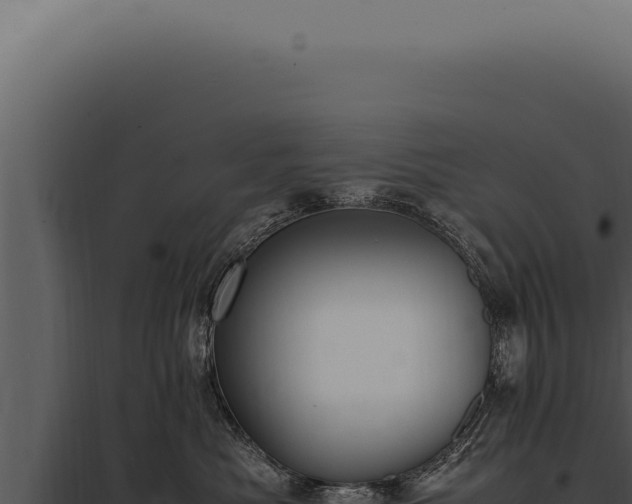 X0000097980525200804011747