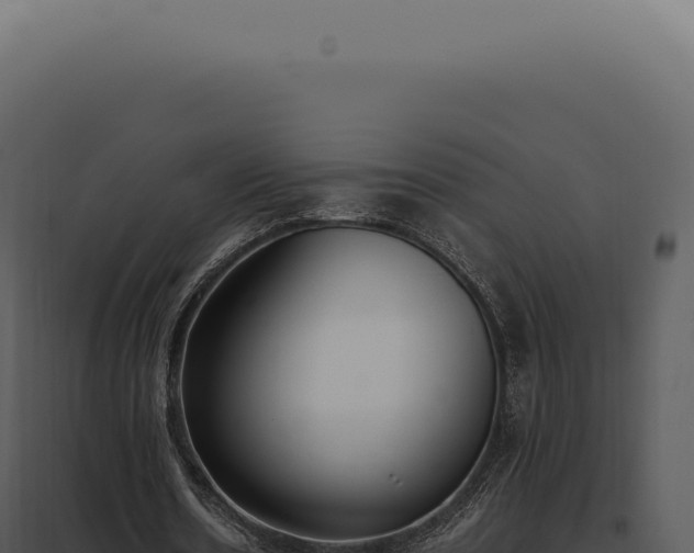 X0000097980530200804011747