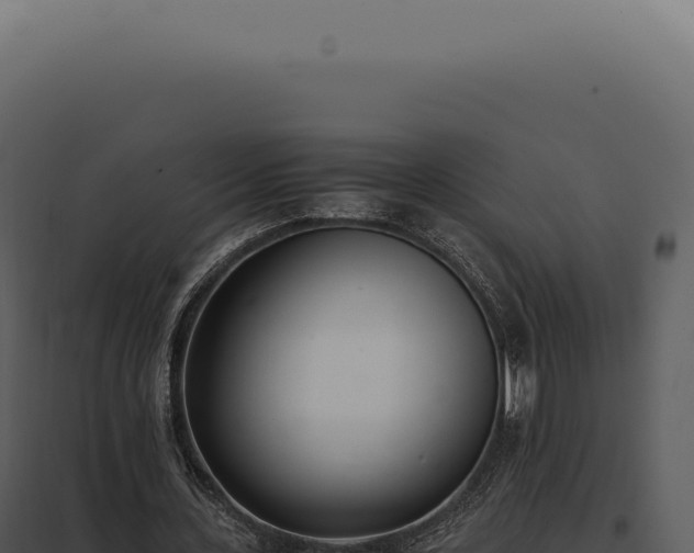 X0000097980531200804011747