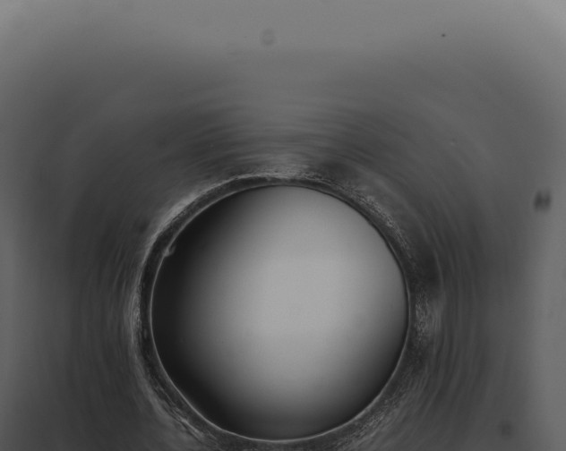 X0000097980532200804011747