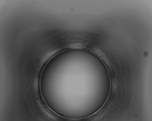 X0000097980533200804011747
