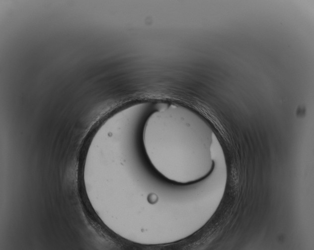 X0000097980534200804011747