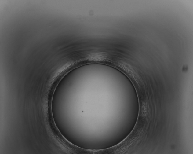 X0000097980535200804011747