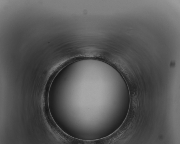 X0000097980536200804011747