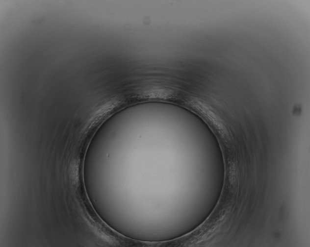X0000097980537200804011747
