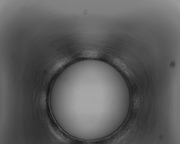 X0000097980538200804011747
